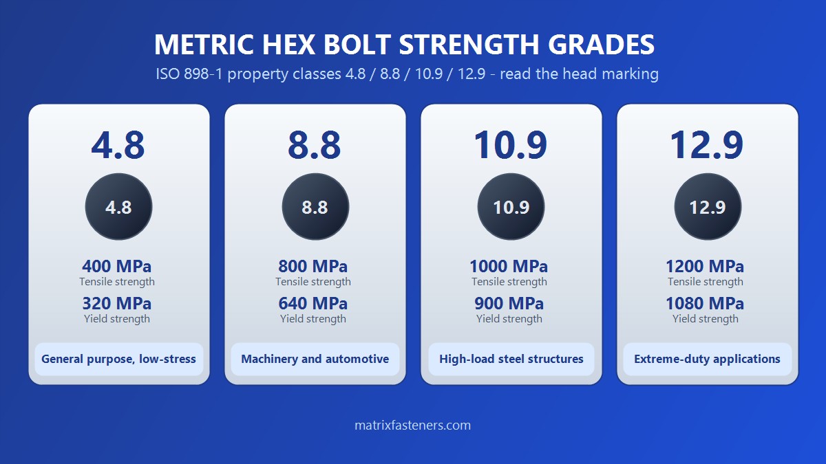 Metric Hex Bolt Grades Explained: 4.8 vs 8.8 vs 10.9 vs 12.9