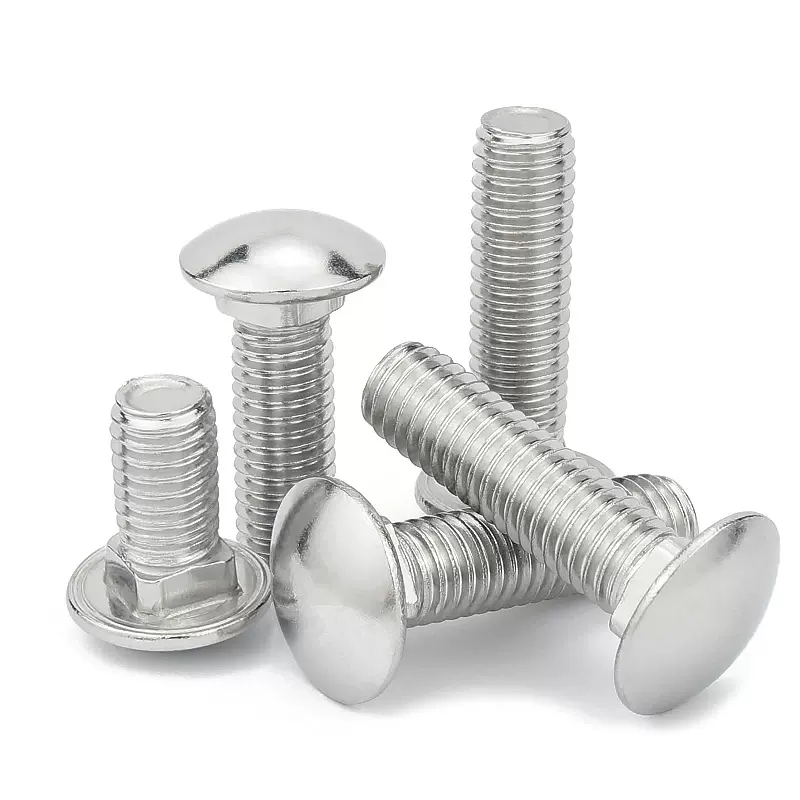 M8 M10 M12 Stainless Steel SS 304 316 316L Polish Plain Round Head Square Neck Carriage Bolt DIN603 1