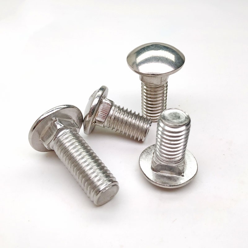 M8 M10 M12 Stainless Steel SS 304 316 316L Polish Plain Round Head Square Neck Carriage Bolt DIN603 3