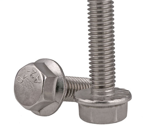 Wholesale Fasteners Stainless Steel SS304 SS316 Flange Bolt 2