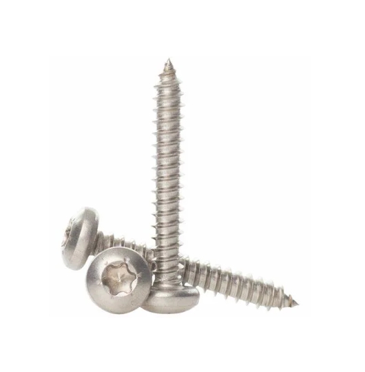 Phillips Pan Head Self-Tapping Screw Stainless Steel 304/316 Round Head Self-Tapping Screw 1